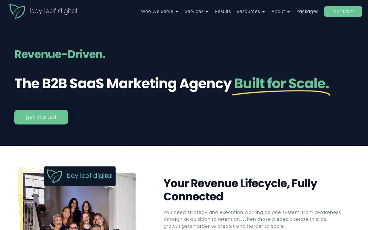 Bay Leaf Digital homepage screenshot — B2B marketing agency