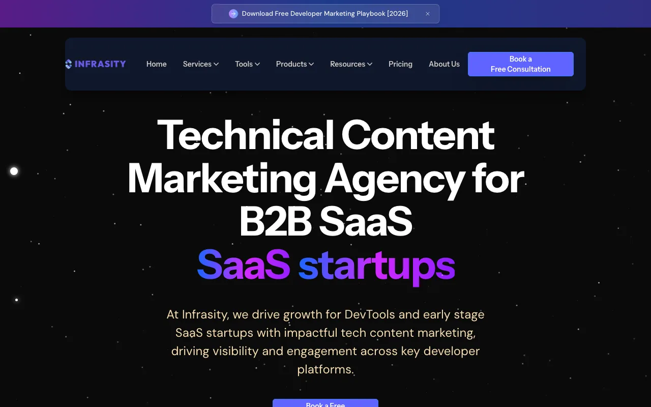Infrasity homepage screenshot — B2B marketing agency