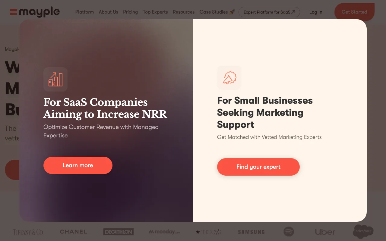 Mayple homepage screenshot — B2B marketing agency